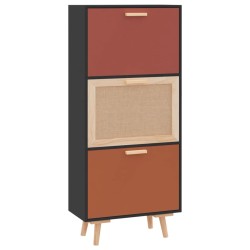 vidaXL Schuhschrank Schwarz 52x25x120 cm Holzwerkstoff