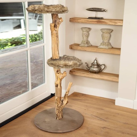 Designed by Lotte Kratzbaum aus Holz JAZZ