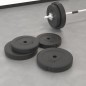 vidaXL Hantelscheiben 4 Stk. 30 kg Zement vidaXL Hantelscheiben 4 Stk. 30 kg Zement