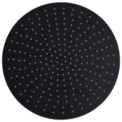 vidaXL Regenbrause Edelstahl 40 cm Rund Schwarz
