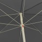 vidaXL Strandschirm Anthrazit 300 cm vidaXL Strandschirm Anthrazit 300 cm