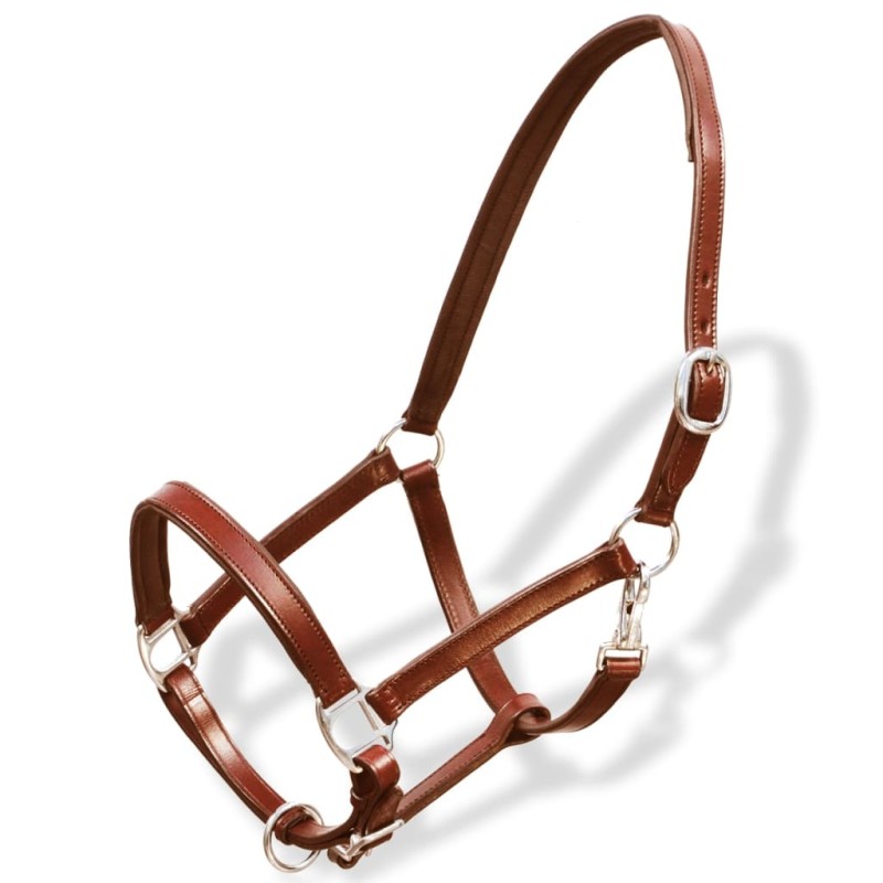 Echtleder Halfter Stallhalfter verstellbar braun Kolben Echtleder Halfter Stallhalfter verstellbar braun Kolben