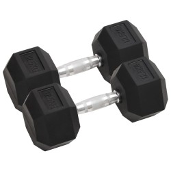 vidaXL Kurzhanteln 2 Stk. 25 kg Gusseisen