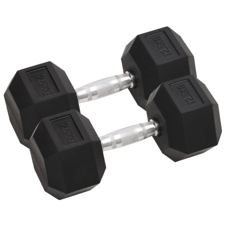 vidaXL Kurzhanteln 2 Stk. 25 kg Gusseisen