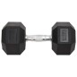 vidaXL Kurzhanteln 2 Stk. 25 kg Gusseisen vidaXL Kurzhanteln 2 Stk. 25 kg Gusseisen
