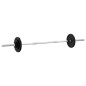 vidaXL Langhantel mit Hantelscheiben Set 30 kg Gusseisen vidaXL Langhantel mit Hantelscheiben Set 30 kg Gusseisen