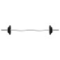 vidaXL Langhantel und Kurzhantel Set 30 kg Gusseisen vidaXL Langhantel und Kurzhantel Set 30 kg Gusseisen