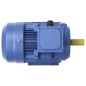 vidaXL 3-Phasen-Elektromotor Aluminium 3 kW 4 PS 2-Polig 2840 U/min vidaXL 3-Phasen-Elektromotor Aluminium 3 kW 4 PS 2-Polig 2840 U/min