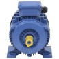 vidaXL 3-Phasen-Elektromotor Aluminium 3 kW 4 PS 2-Polig 2840 U/min vidaXL 3-Phasen-Elektromotor Aluminium 3 kW 4 PS 2-Polig 2840 U/min