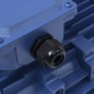 vidaXL 3-Phasen-Elektromotor Aluminium 3 kW 4 PS 2-Polig 2840 U/min vidaXL 3-Phasen-Elektromotor Aluminium 3 kW 4 PS 2-Polig 2840 U/min