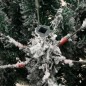 vidaXL Künstlicher Weihnachtsbaum Klappbar Beschneit 120 cm vidaXL Künstlicher Weihnachtsbaum Klappbar Beschneit 120 cm
