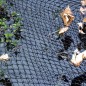 Velda Abdecknetz für Teiche 6 x 5 m Velda Abdecknetz für Teiche 6 x 5 m