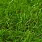 vidaXL Kunstrasen 1x15 m/40 mm Grün vidaXL Kunstrasen 1x15 m/40 mm Grün