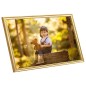 vidaXL Bilderrahmen Collage 5 Stk. für Wand Golden 42x59,4 cm MDF vidaXL Bilderrahmen Collage 5 Stk. für Wand Golden 42x59,4 cm MDF