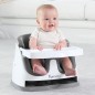 Ingenuity 2-in-1 Babysity Schiefergrau Ingenuity 2-in-1 Babysity Schiefergrau