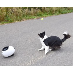 Hundespielzeug