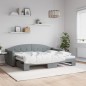 vidaXL Tagesbett Ausziehbar Hellgrau 80x200 cm Stoff vidaXL Tagesbett Ausziehbar Hellgrau 80x200 cm Stoff