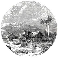 WallArt Fototapete Landscape of Guadeloupe 190 cm