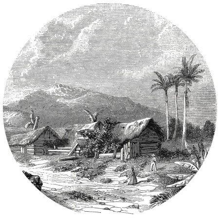 WallArt Fototapete Landscape of Guadeloupe 190 cm