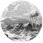 WallArt Fototapete Landscape of Guadeloupe 190 cm WallArt Fototapete Landscape of Guadeloupe 190 cm