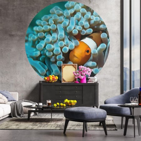 WallArt Fototapete Nemo the Anemonefish Rund 190 cm