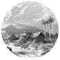 WallArt Fototapete Landscape of Guadeloupe Rund 142,5 cm WallArt Fototapete Landscape of Guadeloupe Rund 142,5 cm