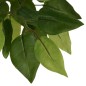 vidaXL Ficusbaum Künstlich 1260 Blätter 200 cm Grün vidaXL Ficusbaum Künstlich 1260 Blätter 200 cm Grün