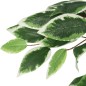 vidaXL Ficusbaum Künstlich 378 Blätter 80 cm Grün vidaXL Ficusbaum Künstlich 378 Blätter 80 cm Grün