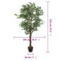 vidaXL Ficusbaum Künstlich 756 Blätter 150 cm Grün vidaXL Ficusbaum Künstlich 756 Blätter 150 cm Grün