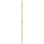 vidaXL Innentür Schlank Golden 93x201,5 cm Hartglas und Aluminium vidaXL Innentür Schlank Golden 93x201,5 cm Hartglas und Aluminium