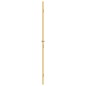 vidaXL Innentür Schlank Golden 93x201,5 cm Hartglas und Aluminium vidaXL Innentür Schlank Golden 93x201,5 cm Hartglas und Aluminium