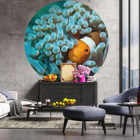 WallArt Fototapete Nemo the Anemonefish Rund 142,5 cm