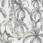 Noordwand Tapete Topchic Monkey Jungle Leaves Grau und Schwarz Noordwand Tapete Topchic Monkey Jungle Leaves Grau und Schwarz