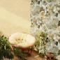 Topchic Tapete Herringbone Beige Topchic Tapete Herringbone Beige