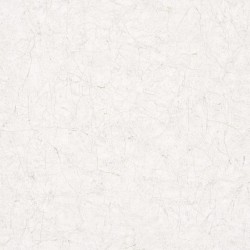Noordwand Tapete Vintage Deluxe Stucco Crackle Beige und Weiß
