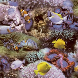 Good Vibes Tapete Coral and Tropical Fish Gelb und Lila