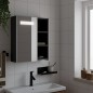 vidaXL Spiegelschrank mit LED-Beleuchtung Schwarz 45x13x52 cm vidaXL Spiegelschrank mit LED-Beleuchtung Schwarz 45x13x52 cm