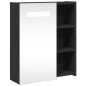 vidaXL Spiegelschrank mit LED-Beleuchtung Schwarz 45x13x52 cm vidaXL Spiegelschrank mit LED-Beleuchtung Schwarz 45x13x52 cm