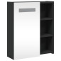 vidaXL Spiegelschrank mit LED-Beleuchtung Schwarz 45x13x52 cm vidaXL Spiegelschrank mit LED-Beleuchtung Schwarz 45x13x52 cm
