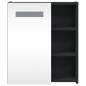 vidaXL Spiegelschrank mit LED-Beleuchtung Schwarz 45x13x52 cm vidaXL Spiegelschrank mit LED-Beleuchtung Schwarz 45x13x52 cm
