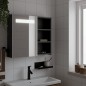 vidaXL Spiegelschrank mit LED-Beleuchtung Schwarz 60x13x52 cm vidaXL Spiegelschrank mit LED-Beleuchtung Schwarz 60x13x52 cm