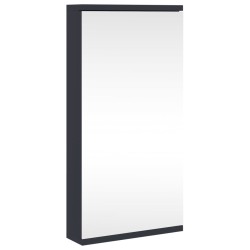 vidaXL Eck-Spiegelschrank Grau 30x24x60 cm