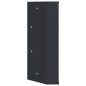 vidaXL Eck-Spiegelschrank Grau 30x24x60 cm vidaXL Eck-Spiegelschrank Grau 30x24x60 cm