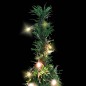 vidaXL Pop-Up-Weihnachtsbaum Künstlich 50 LEDs Grün 120 cm vidaXL Pop-Up-Weihnachtsbaum Künstlich 50 LEDs Grün 120 cm