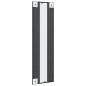 vidaXL Wandspiegel Schwarz 30x100 cm Rechteckig Eisen vidaXL Wandspiegel Schwarz 30x100 cm Rechteckig Eisen
