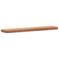 vidaXL Wandregal 100x20x4 cm Massivholz Buche