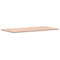 vidaXL Schreibtischplatte 100x50x1,5 cm Massivholz Buche vidaXL Schreibtischplatte 100x50x1,5 cm Massivholz Buche