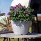 Capi Blumentopf Arc Granite Konisch Niedrig 34x25 cm Elfenbeinfarben Capi Blumentopf Arc Granite Konisch Niedrig 34x25 cm Elfenbeinfarben
