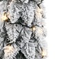 vidaXL Künstlicher Weihnachtsbaum Beleuchtung & Schnee 30 LEDs 60 cm vidaXL Künstlicher Weihnachtsbaum Beleuchtung & Schnee 30 LEDs 60 cm
