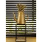 Capi Gießkanne Xala Lungo 12 L Golden Capi Gießkanne Xala Lungo 12 L Golden